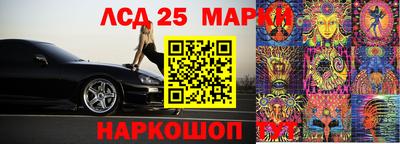 гашик Жуковский