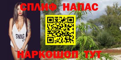 гашик Жуковский