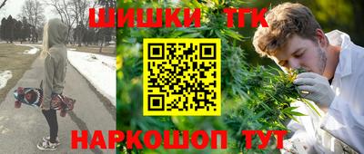 гашик Котовск