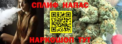 гашик Жуковский