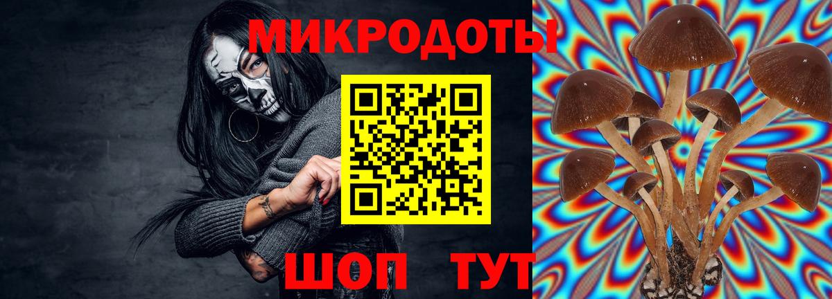 Ишимбай  Галлюциногенные грибы Magic Shrooms  Вход с VPN  Псилоцибиновые грибы прущие грибы 